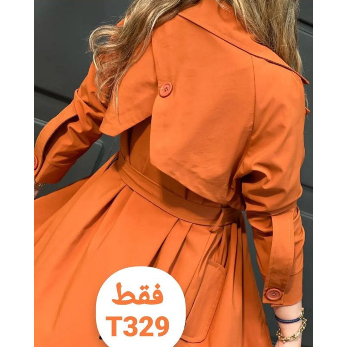 پرستو - تصویر 5