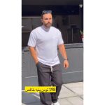 تیشرت مردانه داریوش - تصویر 4