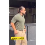 تیشرت مردانه داریوش - تصویر 2