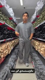 تیشرت و شلوار مردانه مدل هومن - تصویر 3