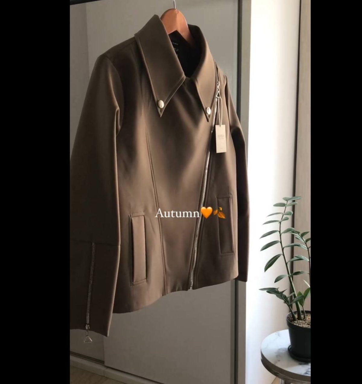 شکت پاییزه زنانه مدل آپادیس - تصویر 3